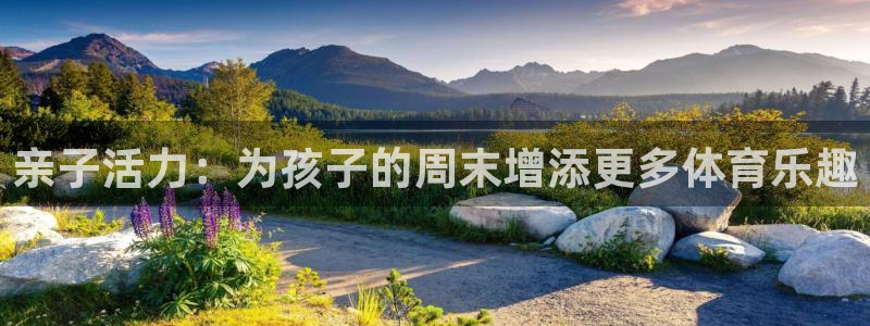 米兰体育官方下载入口