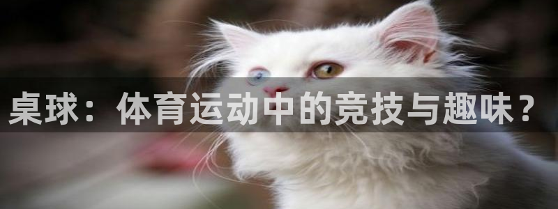 米兰体育平台：桌球：体育运动中的竞技与趣味？