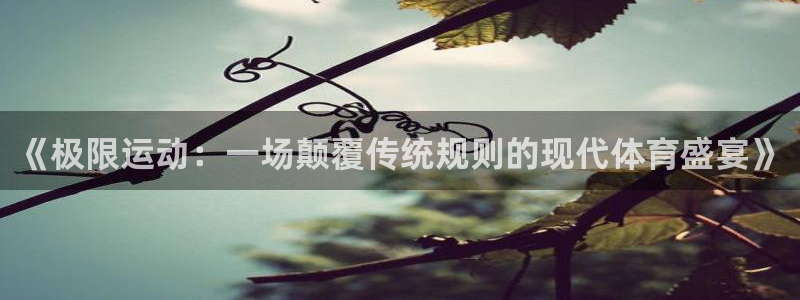 米兰体育app：《极限运动：一场颠覆传统规则的现代体育盛宴》