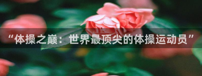 米兰体育网站
