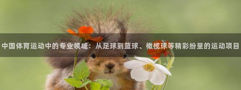 米兰体育报官网